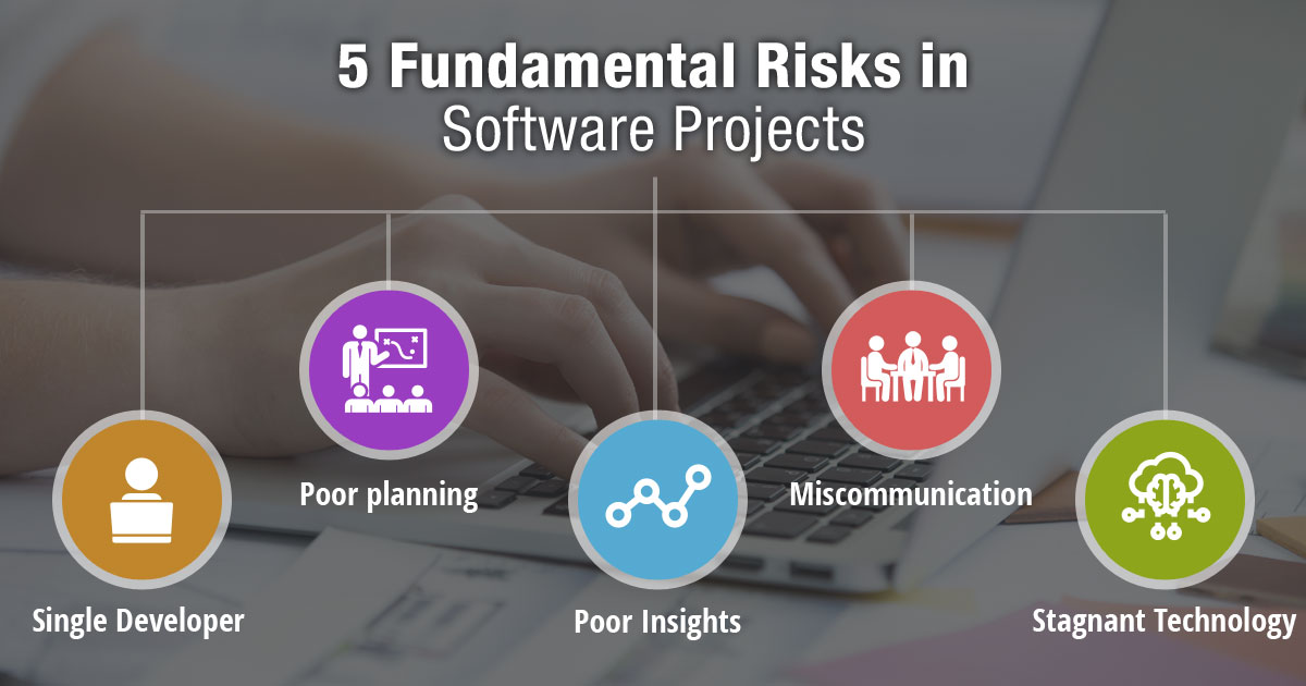 5 Fundamental Risks in Software Projects 5 Fundamental Risks in Software Projects